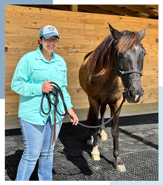 horse riding lessons near houston texas
